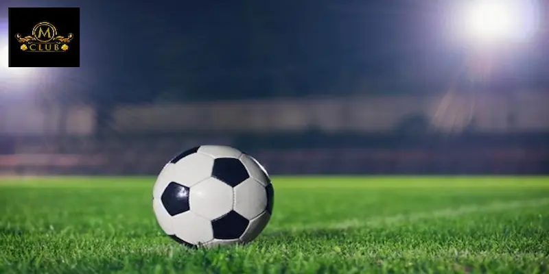 Kiểm tra kỹ lưỡng đội hình thể thao ra sân và tình hình lực lượng