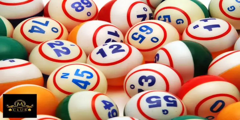 Tổng quát về hình thức Rồng Bạch Kim là gì?